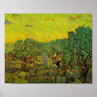 Olive Grove with Picking Figurer, Vincent van Gogh Poster