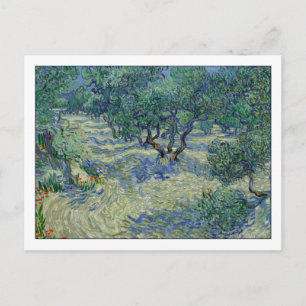 Olive Orchard av van Gogh Vykort