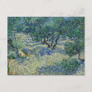 Olive Orchard av van Gogh Vykort