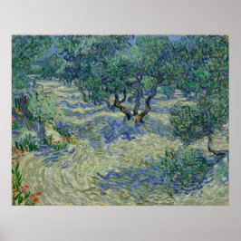 Olive Orchard av Vincent Van Gogh Poster