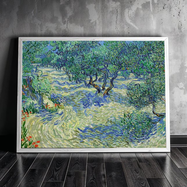 Olive Orchard, Vincent van Gogh Poster (Skapare uppladdad)