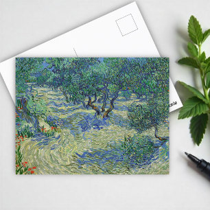 Olive Orchard, Vincent van Gogh Vykort