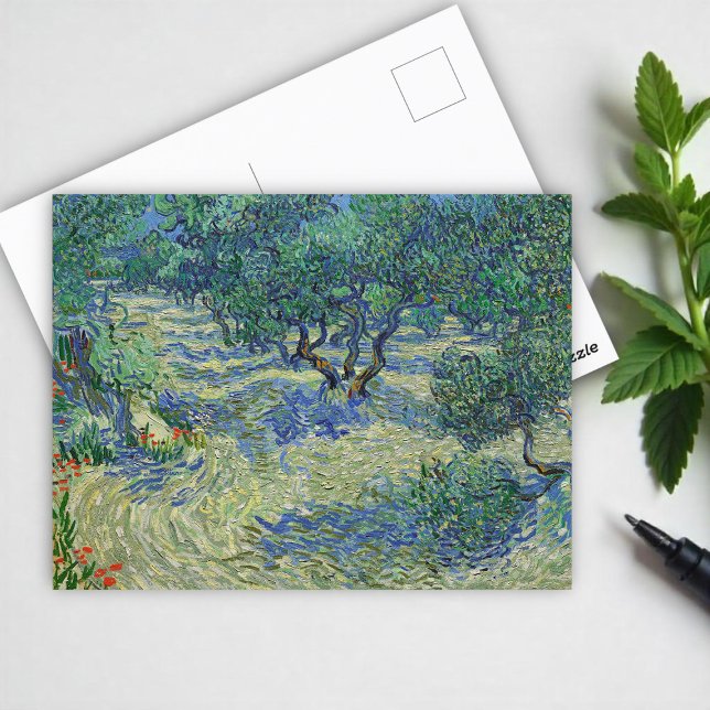 Olive Orchard, Vincent van Gogh Vykort (Skapare uppladdad)