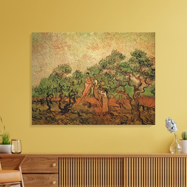 Olive Picking av Vincent van Gogh Canvastryck (Insitu (Vardagsrum))