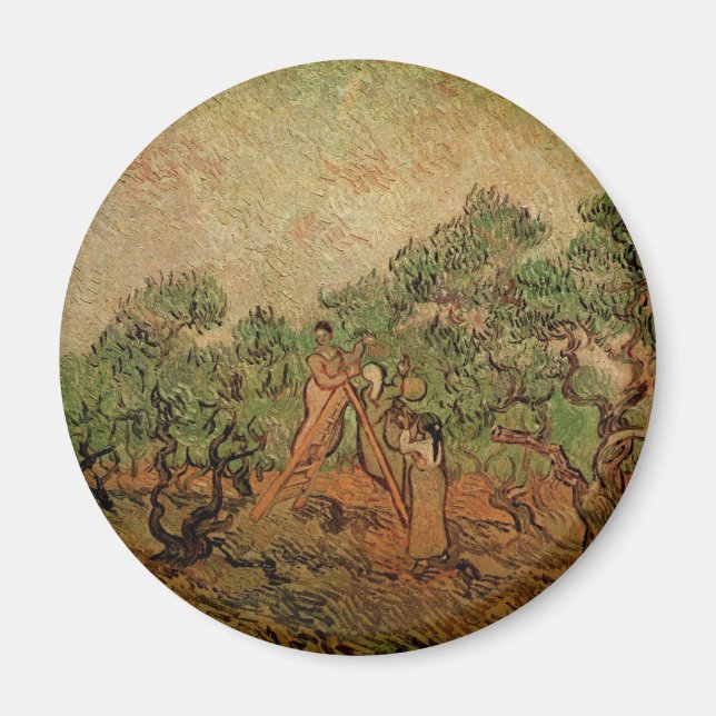 Olive Picking av Vincent van Gogh Magnet (Framsidan)