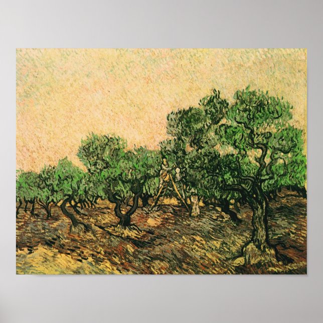 Olive Picking Van Gogh Fine Art Poster (Framsidan)
