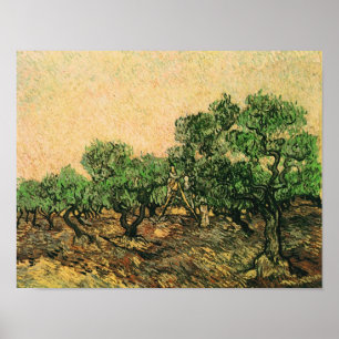 Olive Picking Van Gogh Fine Art Poster