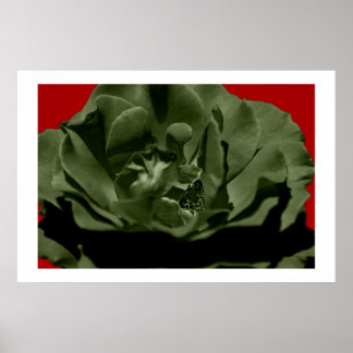 Olive Ro w/Red Anegelhair texturerad bakgrund Poster