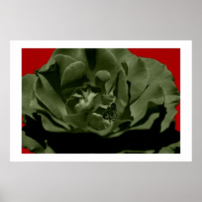 Olive Ro w/Red Anegelhair texturerad bakgrund Poster (Framsidan)