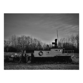 "Olive Shores" Fototryck
