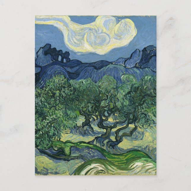 Olive Träd av Van Gogh Vykort (Framsida)