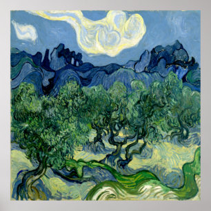 Olive Träd av Vincent van Gogh Poster