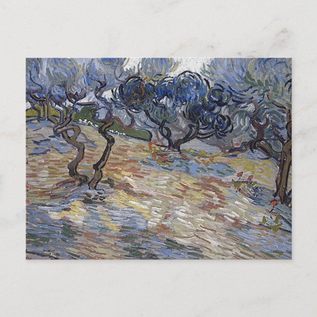 Olive Träd (F714) Van Gogh Fine Art Vykort (Framsida)