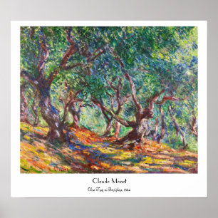 Olive Träd i Bordighera, 1884 Claude Monet Poster