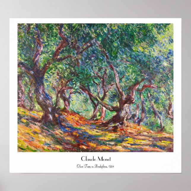Olive Träd i Bordighera, 1884 Claude Monet Poster (Framsidan)