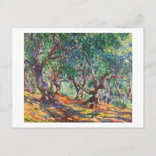 Olive Träd i Bordighera, 1884 Claude Monet Vykort