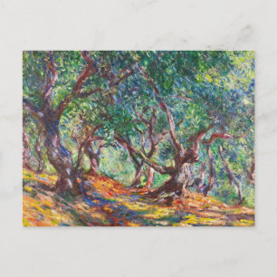 Olive Träd i Bordighera, 1884 Claude Monet Vykort