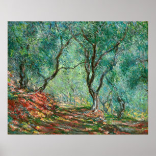 Olive Träd i Garden Poster