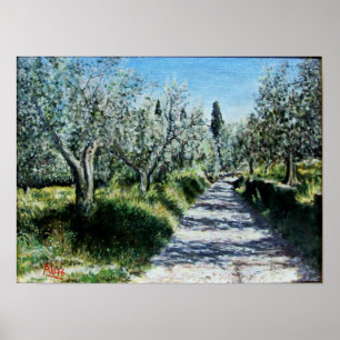 OLIVE TRÄD I RIMAGGIO Tuscany Poster