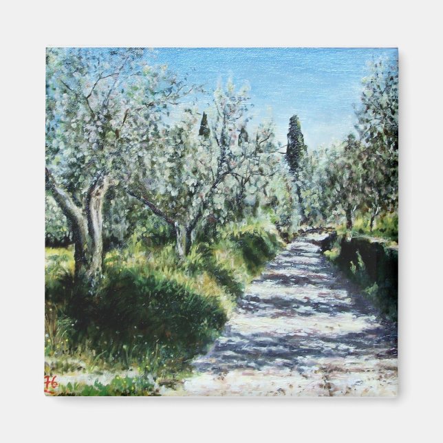 OLIVE TRÄD I TUSCANY LANDSCAPE MAGNET (Framsidan)