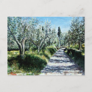 OLIVE TRÄD I TUSCANY VYKORT