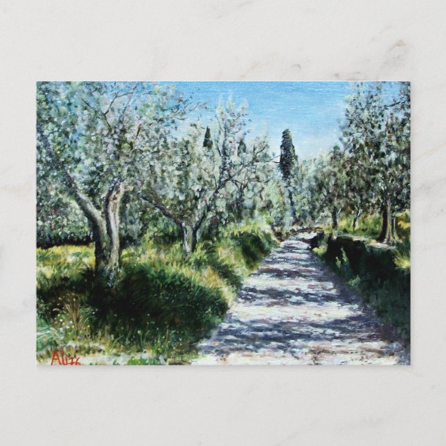 OLIVE TRÄD I TUSCANY VYKORT (Framsida)