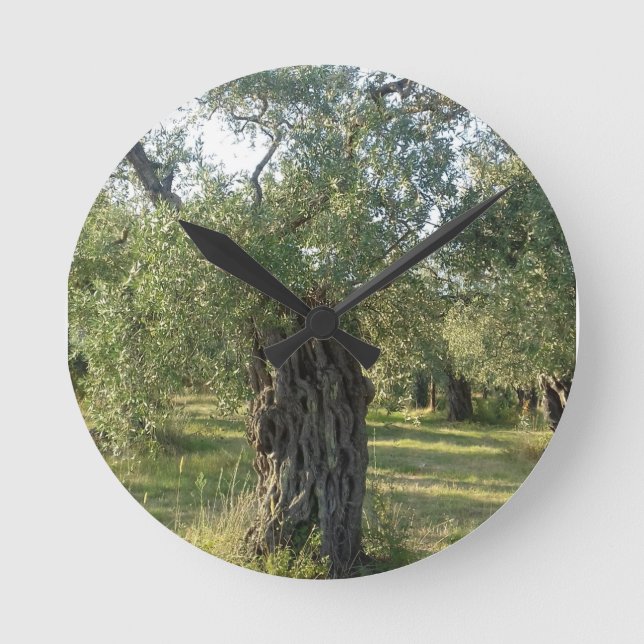 Olive Träd på den grekiska ön Thassos Rund Klocka (Framsida)
