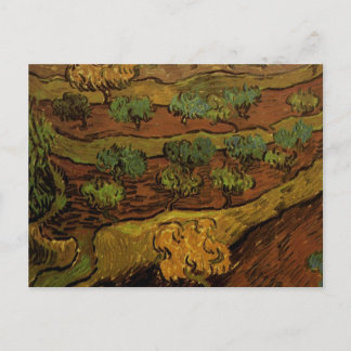 Olive Träd Slope Backe Van Gogh Fine Art Vykort