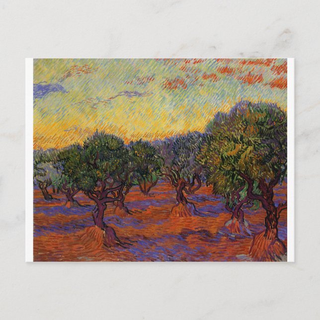 Olive Träd - Vincent Van Gogh Vykort (Framsida)
