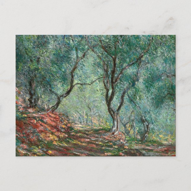 Olive Träd Wood in the Moreno Gardens (av Monet) Vykort (Framsida)