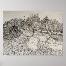 Olive träden Sketch Poster