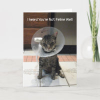 Oliver är inte Kattdjur bra - Cat Get well Card
