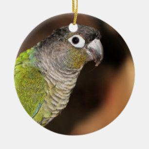Oliver Julgransprydnad Keramik
