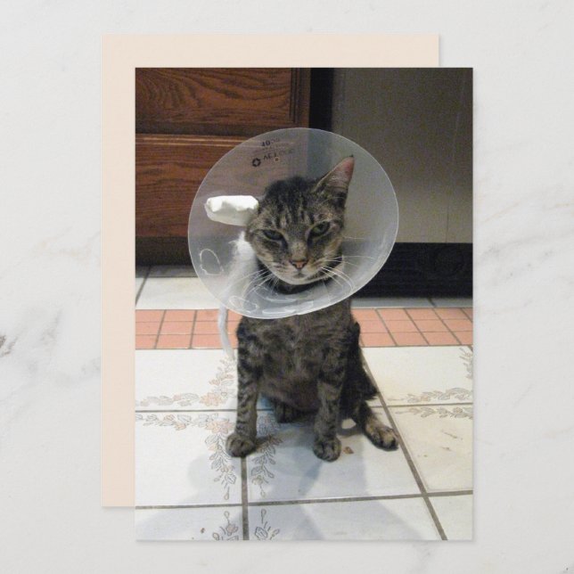 Oliver the Cats Cone of Shame Flat Get well Card Kort (Fram/baksida)