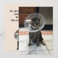 Oliver the Cats Cone of Shame Flat Get well Card