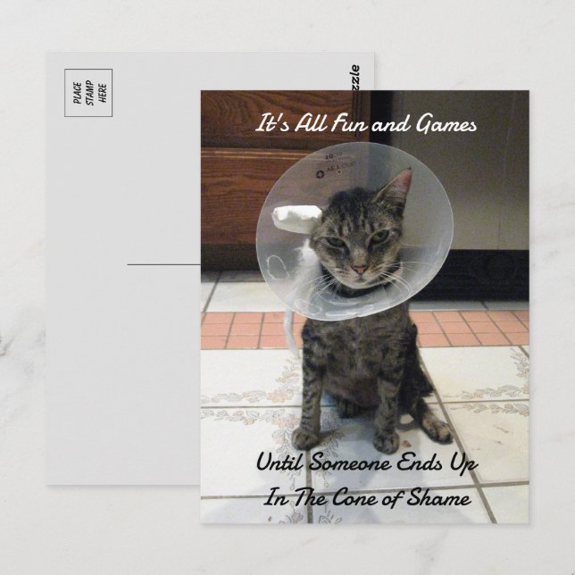 Oliver The Cats Cone of Shame Vykort (Fram/baksida)