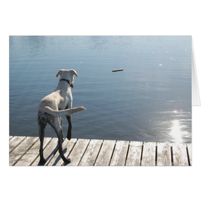 Oliver the Golden Lab Hälsningskort (Framsidan Horizontal)