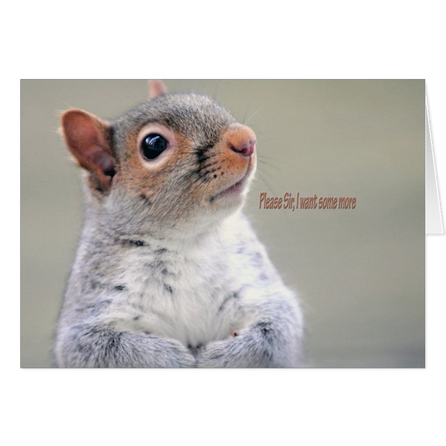 Oliver Twist Squirrel Hälsningskort (Framsidan Horizontal)