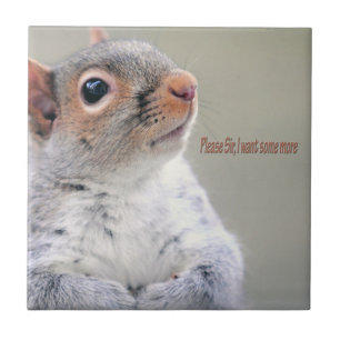 Oliver Twist Squirrel Kakelplatta