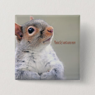 Oliver Twist Squirrel Knapp