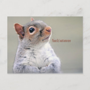 Oliver Twist Squirrel Vykort