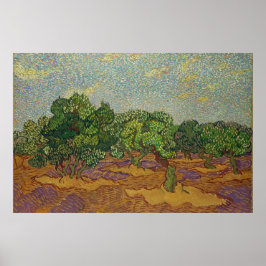 Oliveträd, Van Gogh Poster