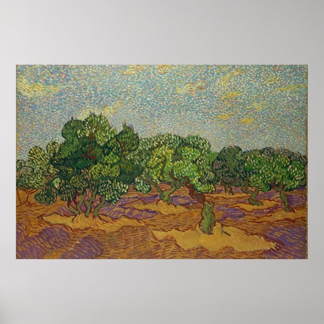 Oliveträd, Van Gogh Poster (Framsidan)