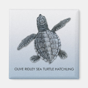 Olivgrön magnet för Hatchling för Ridley