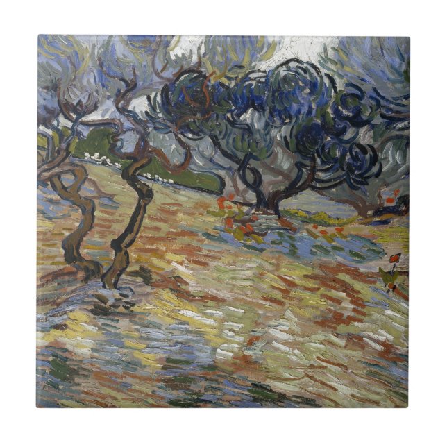 Olivgröna träd av Vincent Van Gogh Kakelplatta (Framsidan)