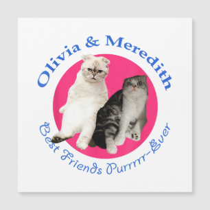 Olivia & Meredith - Best Friends Purrrr-ever