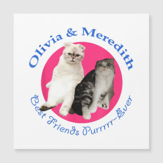 Olivia & Meredith - Best Friends Purrrr-ever