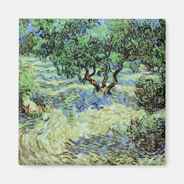 Olivilund av Vincent van Gogh Magnet (Framsidan)