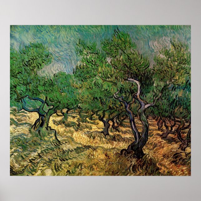 Olivilund av Vincent van Gogh Poster (Framsidan)