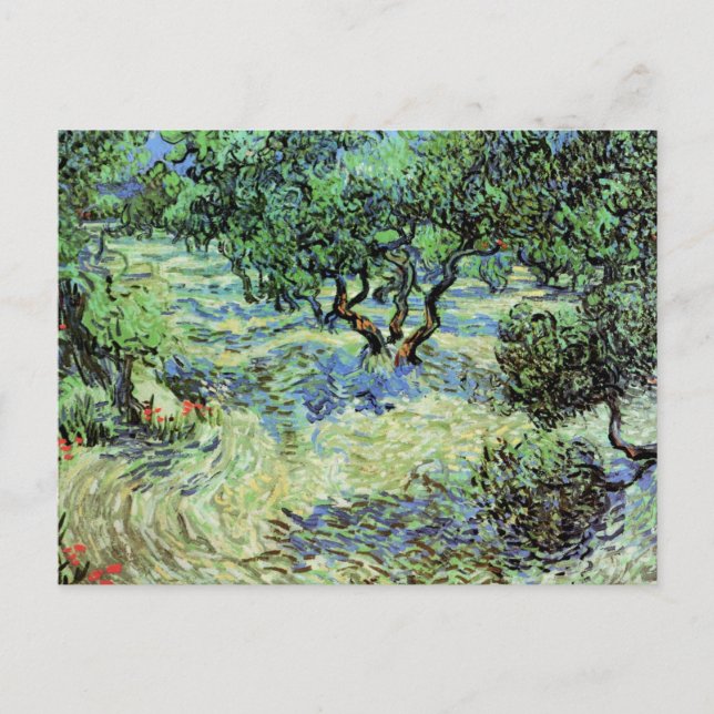 Olivilund av Vincent van Gogh Vykort (Framsida)